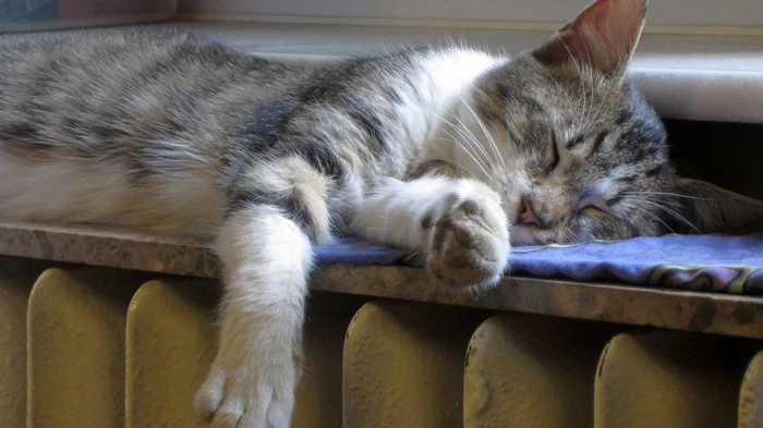 Des experts expliquent comment utiliser correctement les radiateurs